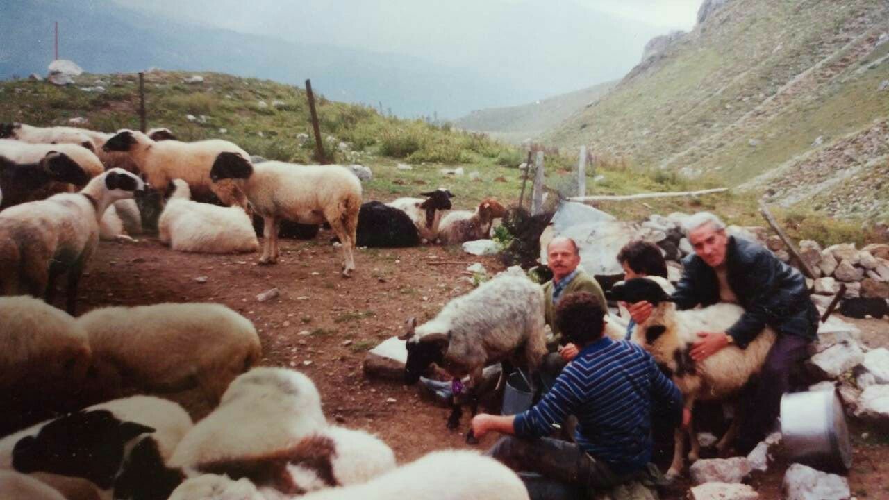 Λιτσα ΣΑΝΤΙΚΟΥ (FB – IAN 20